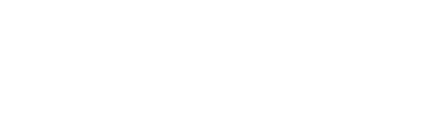Website Design & SEO
