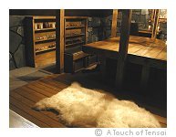 Sheepskin rug & bookcases